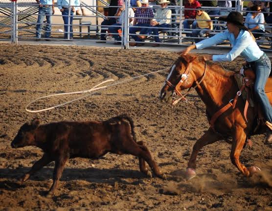 Laramie Noble, CSHSRA, Rodeo News