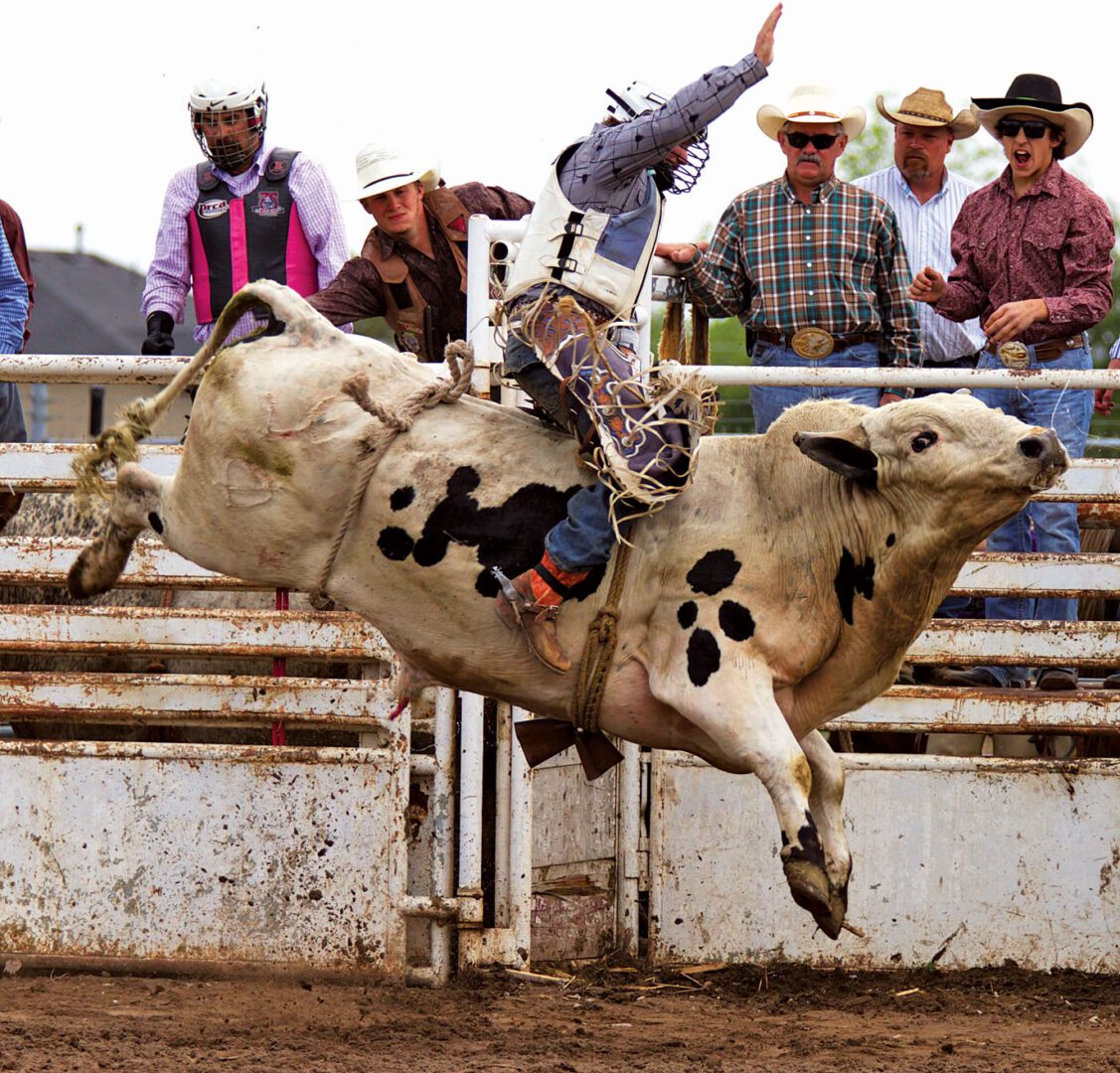 Ritchie Farnsworth, Bull Riding, Rodeo News Meet the Member