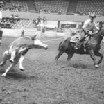 Ace Berry, on the trail, team roping, heeler, rodeo news