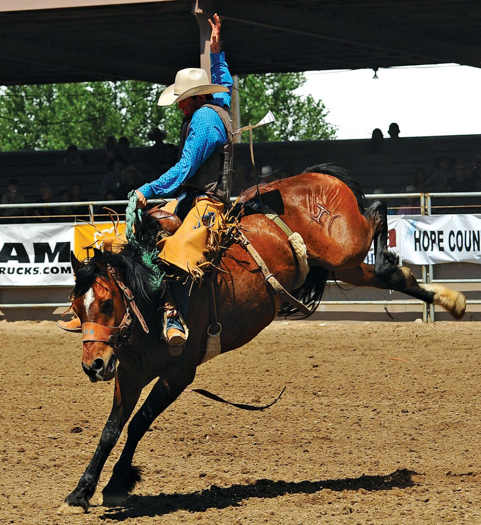 Teal Schmidt Saddle Bronc Riding, Rodeo News Meet the Member