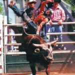 Austin Wahlert, Bullriding, Rodeo News, Profile