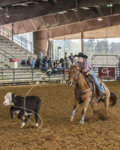 Amanda Johnson, breakaway roping, rodeo news
