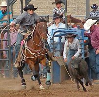 Rodeo News Colton Carter