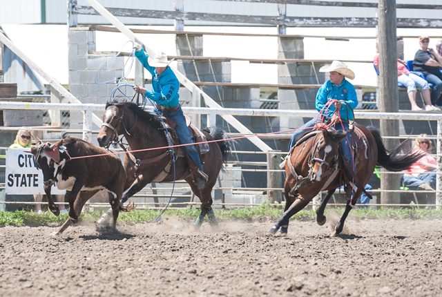 above: Reed Boos of White Cloud shows his championship form heeling for his brother, Jesse, as they collected yearend high point team roping honors in the Kansas Junior High School Rodeo Association. Reed was also honored as the all-around cowboy, en route to qualifying for the National Junior High School Rodeo Finals.   Jesse Boos, White Cloud, in his first year competing in the Kansas Junior High School Rodeo Association ended the year champion team roping header with his older brother Reed Boos on the heels   - Foto Cowboy  