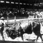 Jim Aplan, Rodeo Sports News 1956-57