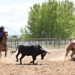Tammy and Jay watch Taya and Brit rope at their arena in Ft. Lupton, Colo - Rodeo News