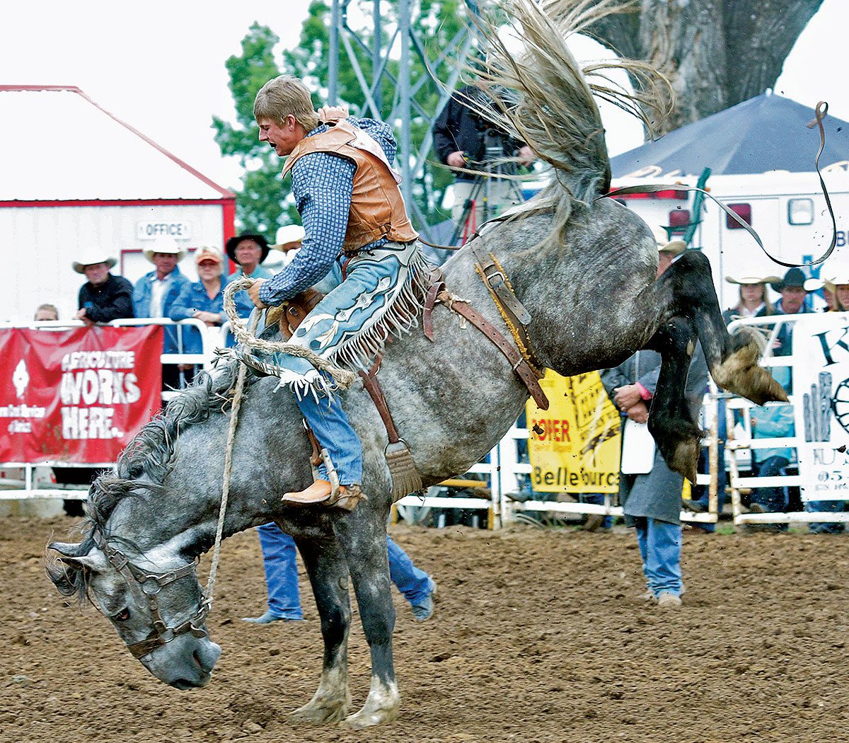 Meet the Member the Rodeo News