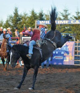 Meet the Committe - Rodeo News