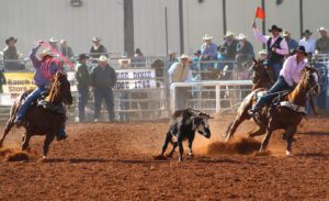 Meet the Member The Rodeo News