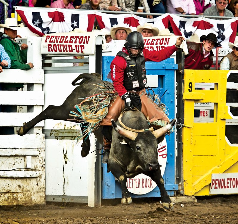 Sage Kimzey, winning Pendleton in 2015. Making his second trip back to the WNFR, Sage won an event-record-tying four rounds of the Wrangler National Finals Rodeo to secure the average title and become the second rookie bull rider to win a gold buckle, following Bill Kornell (1963). - Hubbell 