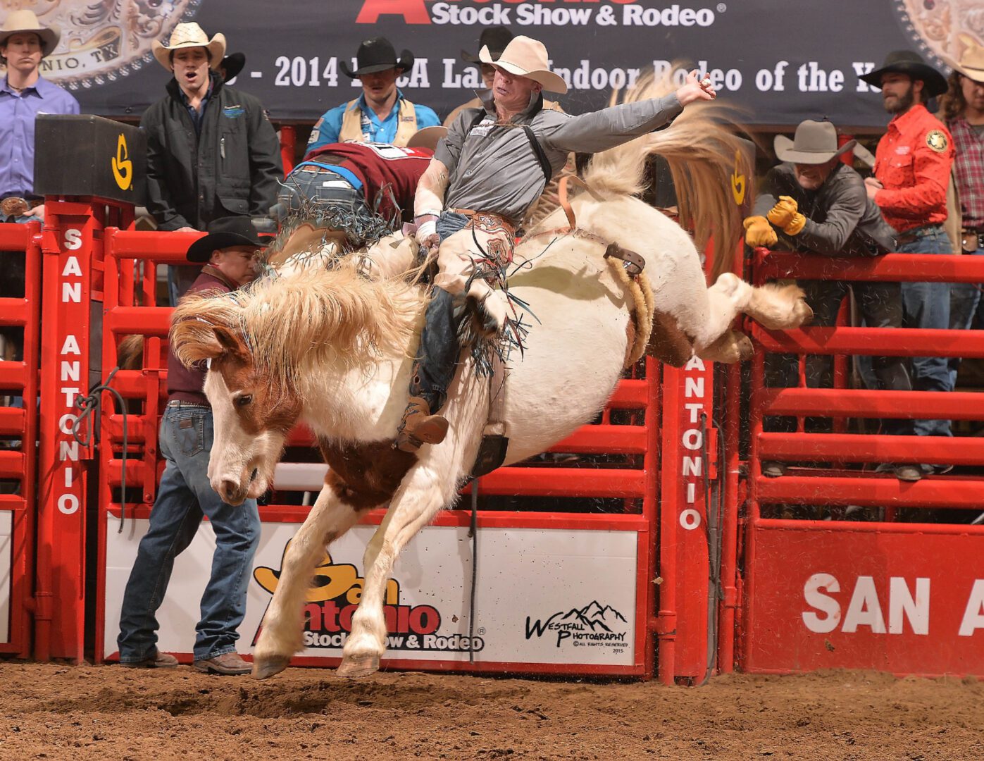 Jayne living his rodeo dreams - The Rodeo News