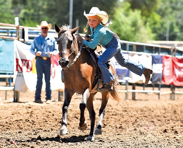 Lane competing at the 2015 NLBFR - JenningsRodeoPhotography.com