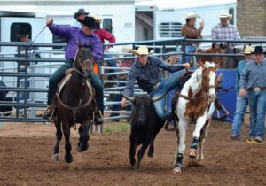 Meet the member The Rodeo News