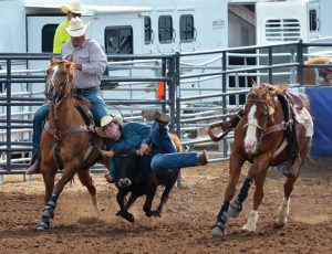 Meet the Member the Rodeo news