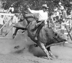 Richard Schneehagen riding #221 Golden Grain, Woodlake, CA, 1969 - courtesy of family