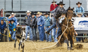 Trey Watts tie-down roping at the 2016 AFR - Casey Martin Photography