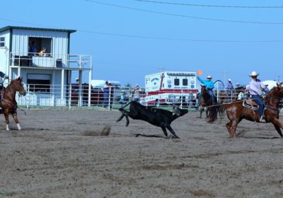 Meet the Committee Fairview Wrangler Rodeo - The Rodeo News