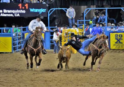 Rodeo News | Nothin' but Rodeo
